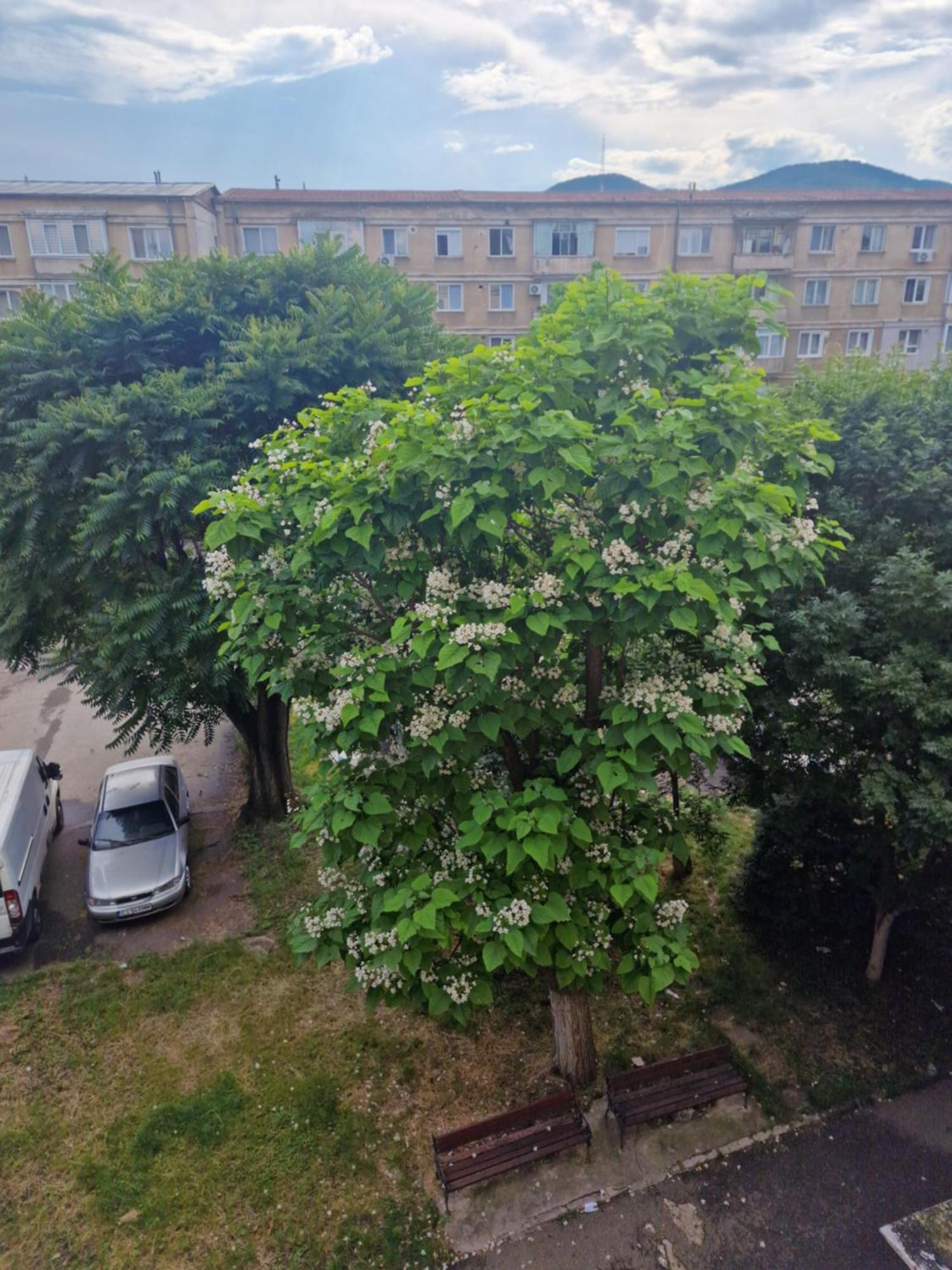 Apartament Central Deva Lägenhet Exteriör bild